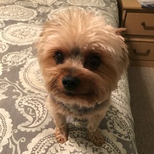 Meet your Posher, Betty-jo